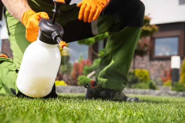 Best Mosquito Control Services  in Alpharetta, GA