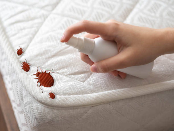 Best Emergency Pest Control  in Alpharetta, GA