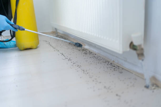 Best Pest Removal Services  in Alpharetta, GA