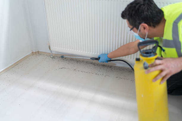 Best Pest Control for Homes  in Alpharetta, GA