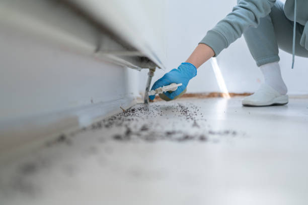 Best Exterminator Services  in Alpharetta, GA