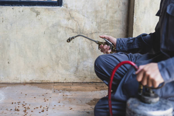 Professional Pest Control in Alpharetta, GA