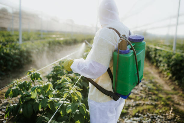 Pest Control for Restaurants in Alpharetta, GA